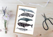 Load image into Gallery viewer, Whales Stack Card

