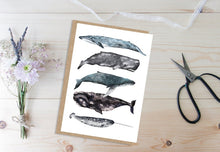 Load image into Gallery viewer, Whales Stack Card