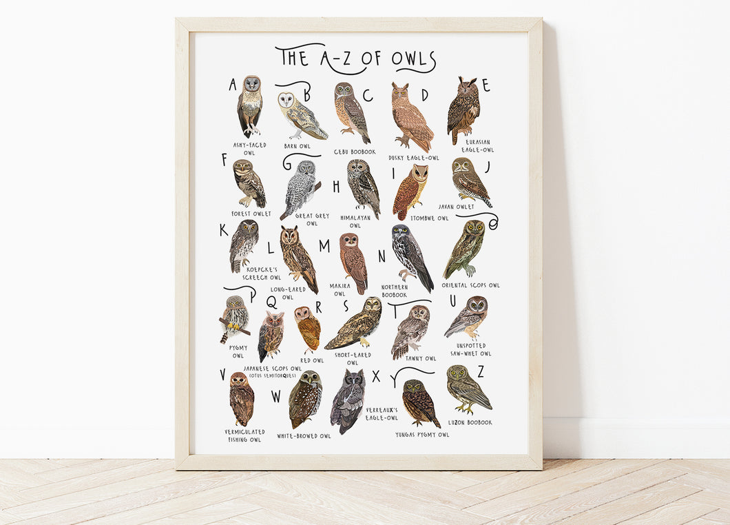A-Z of Owls Poster