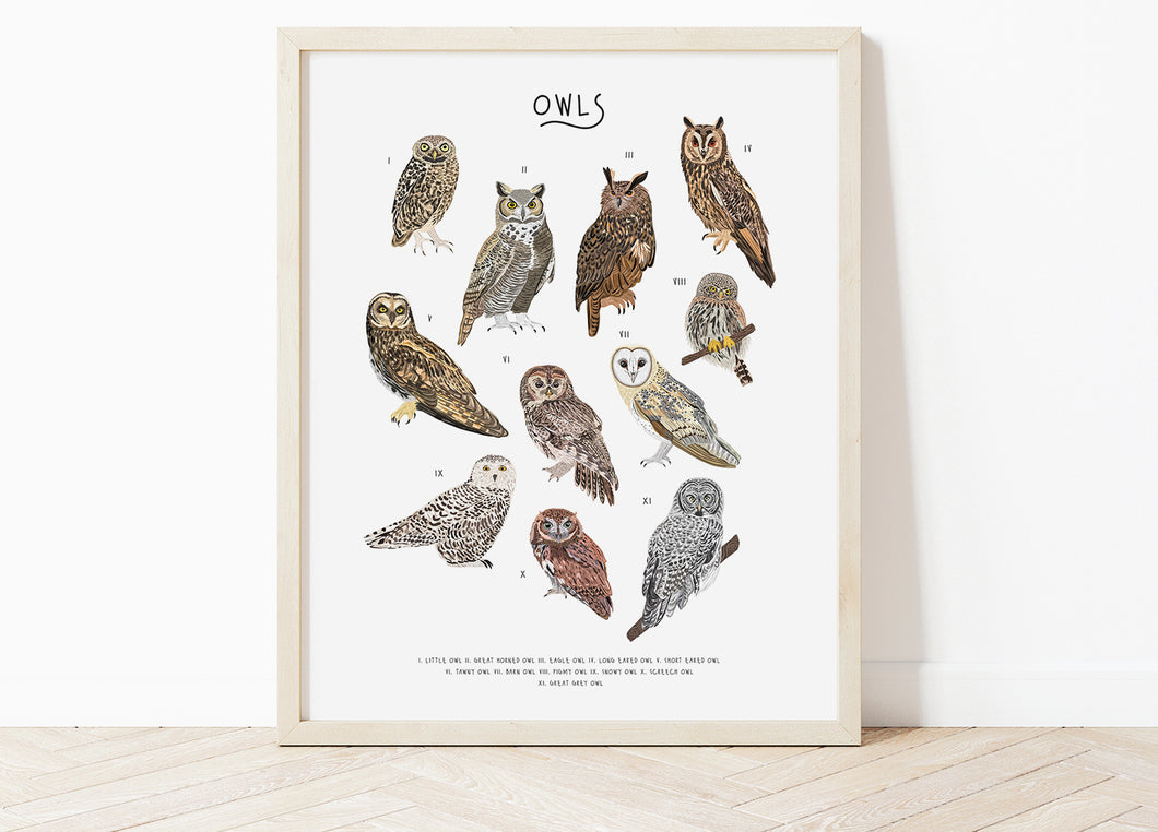 Owl Print