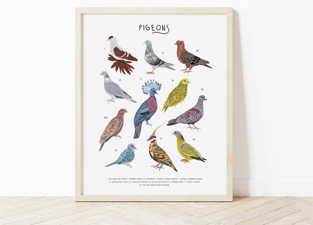 Pigeons Print
