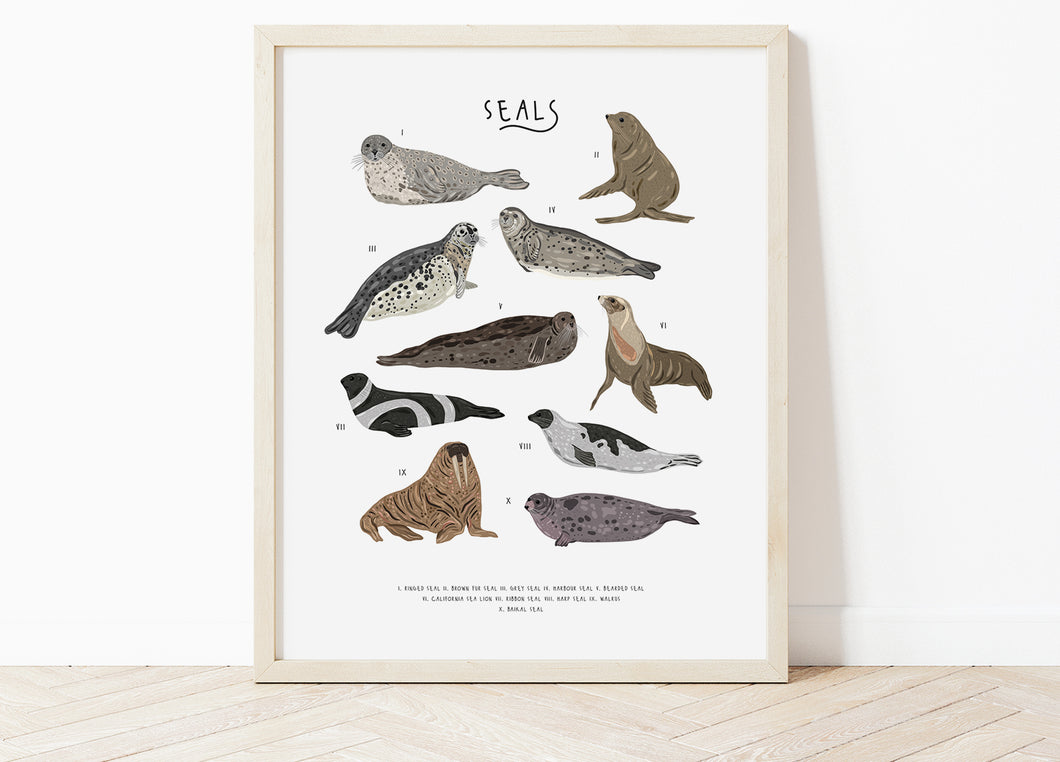 Seals Print