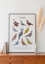 Load image into Gallery viewer, Pigeons Print
