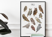 Load image into Gallery viewer, Owl Print
