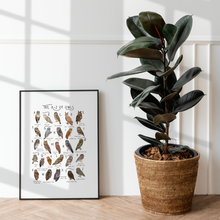 Load image into Gallery viewer, A-Z of Owls Poster
