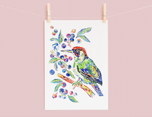 Load image into Gallery viewer, Woodpecker &amp; Blueberries Print
