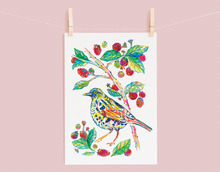 Load image into Gallery viewer, Dunnock &amp; Raspberries Print
