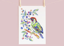Load image into Gallery viewer, Woodpecker &amp; Blueberries Print
