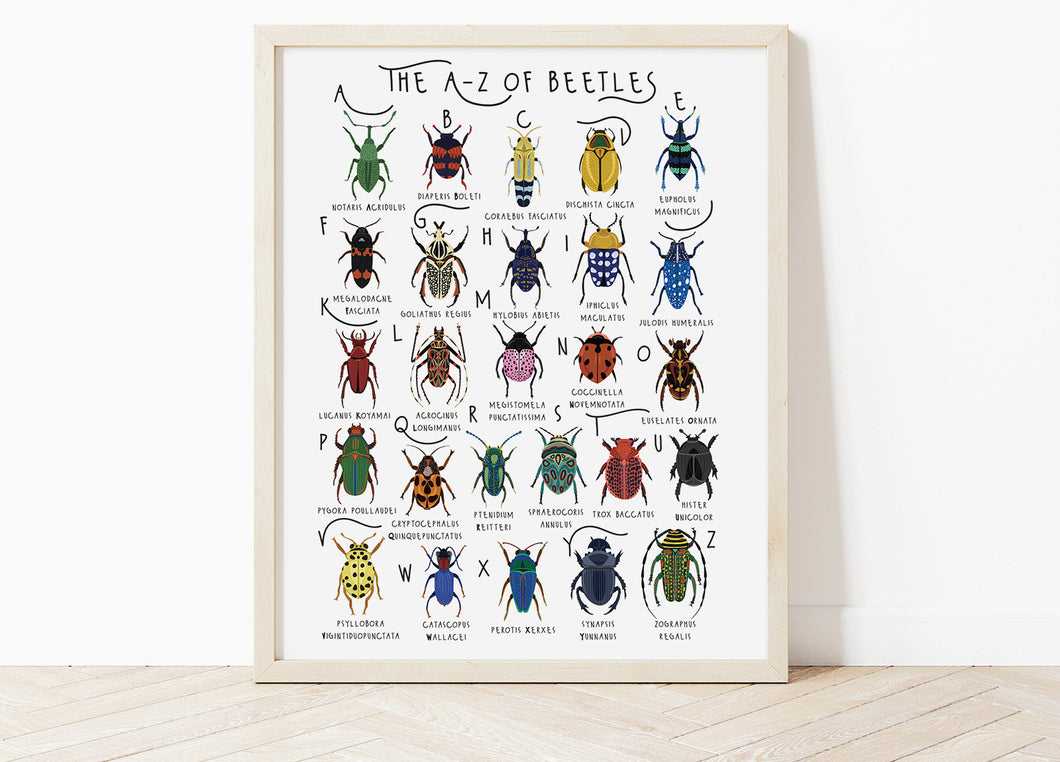 A-Z of Beetles Poster