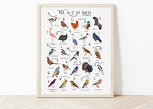 Load image into Gallery viewer, A-Z of Birds Poster
