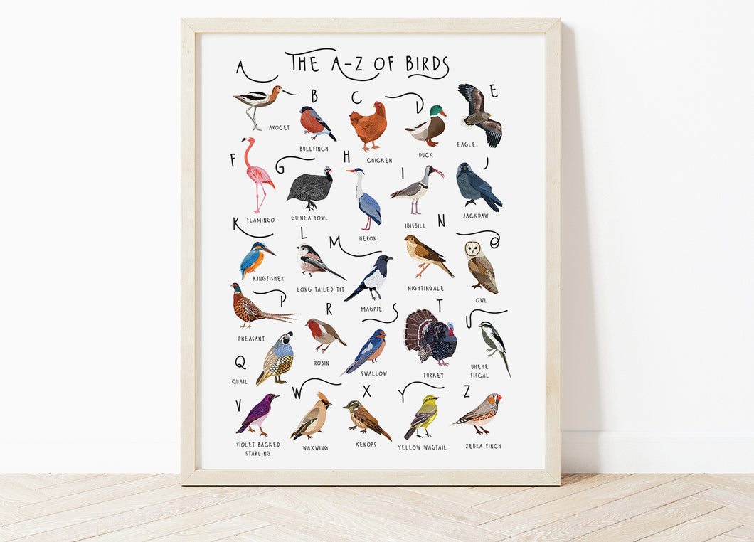 A-Z of Birds Poster