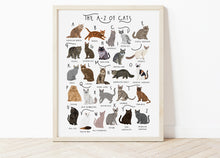 Load image into Gallery viewer, A-Z of Cats Poster
