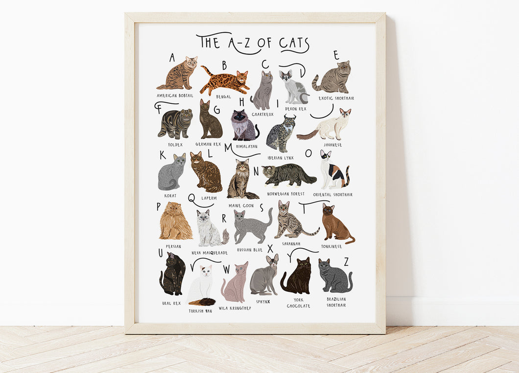 A-Z of Cats Poster