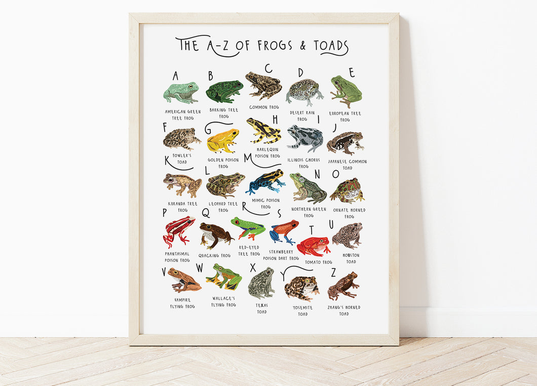 A-Z of Frogs Poster