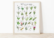 Load image into Gallery viewer, A-Z of Herbs Poster
