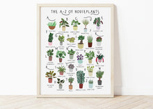 Load image into Gallery viewer, A-Z of House Plants Poster
