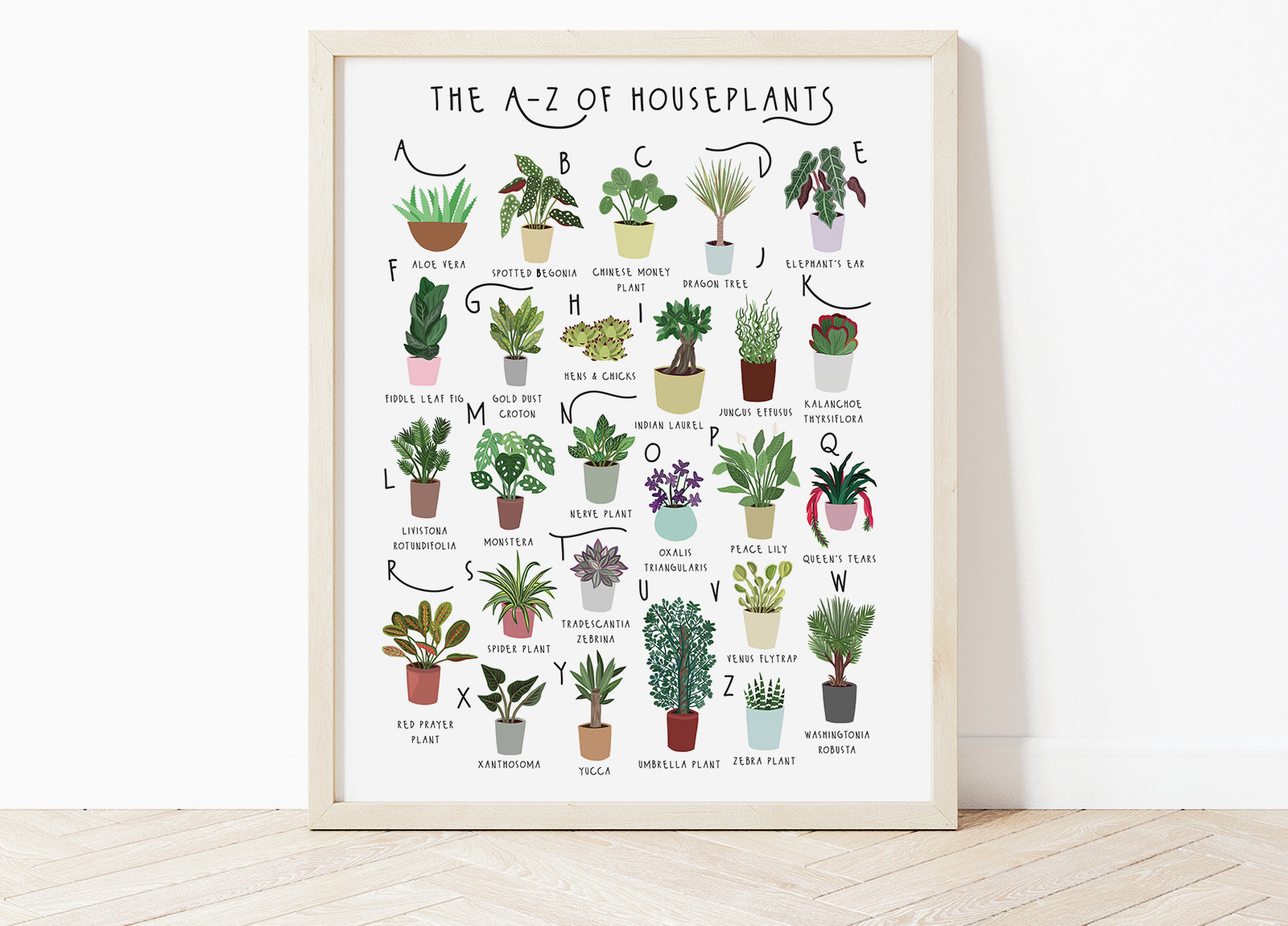 A-Z of House Plants Poster  Bea Baranowska Illustration