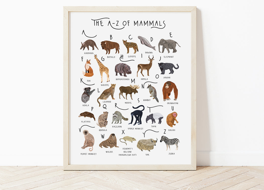 A-Z of Mammals Poster
