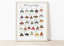 Load image into Gallery viewer, A-Z of Moths Poster
