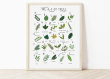 Load image into Gallery viewer, A-Z of Trees Poster
