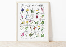 Load image into Gallery viewer, A-Z of Wildflowers Poster
