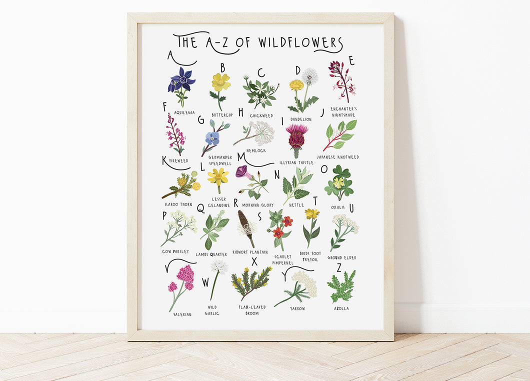 A-Z of Wildflowers Poster