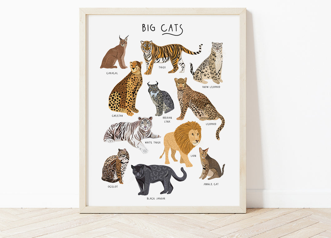 Big Cats Print