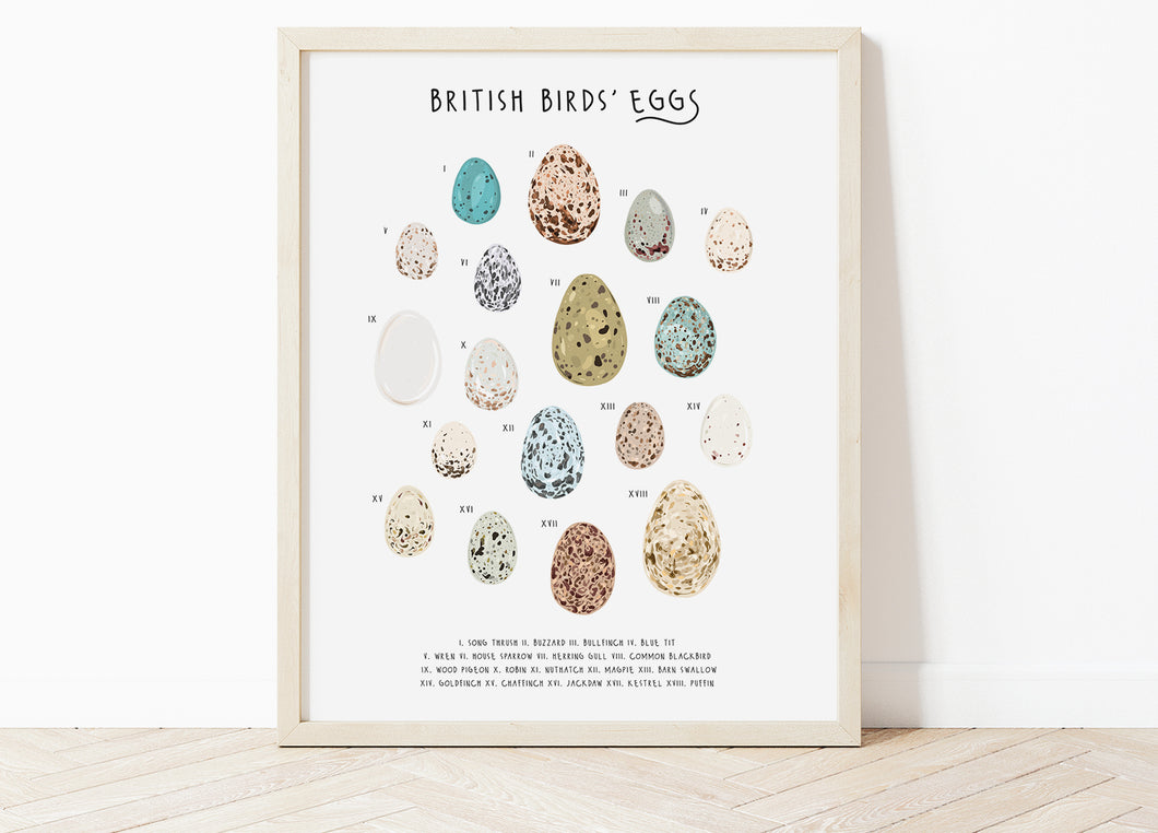 British Birds Eggs Print