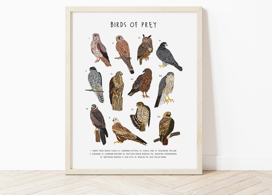 Birds of Prey Print