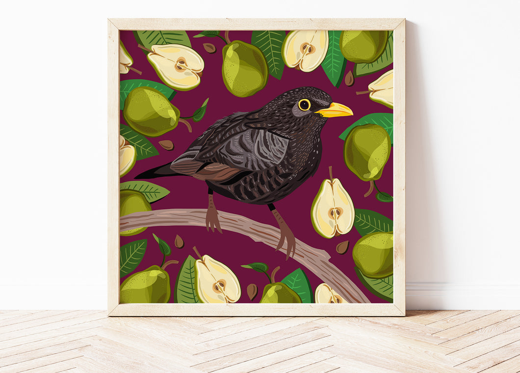 Blackbird and Pears Print