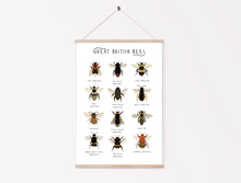 Load image into Gallery viewer, Great British Bees Print
