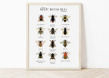 Load image into Gallery viewer, Great British Bees Print

