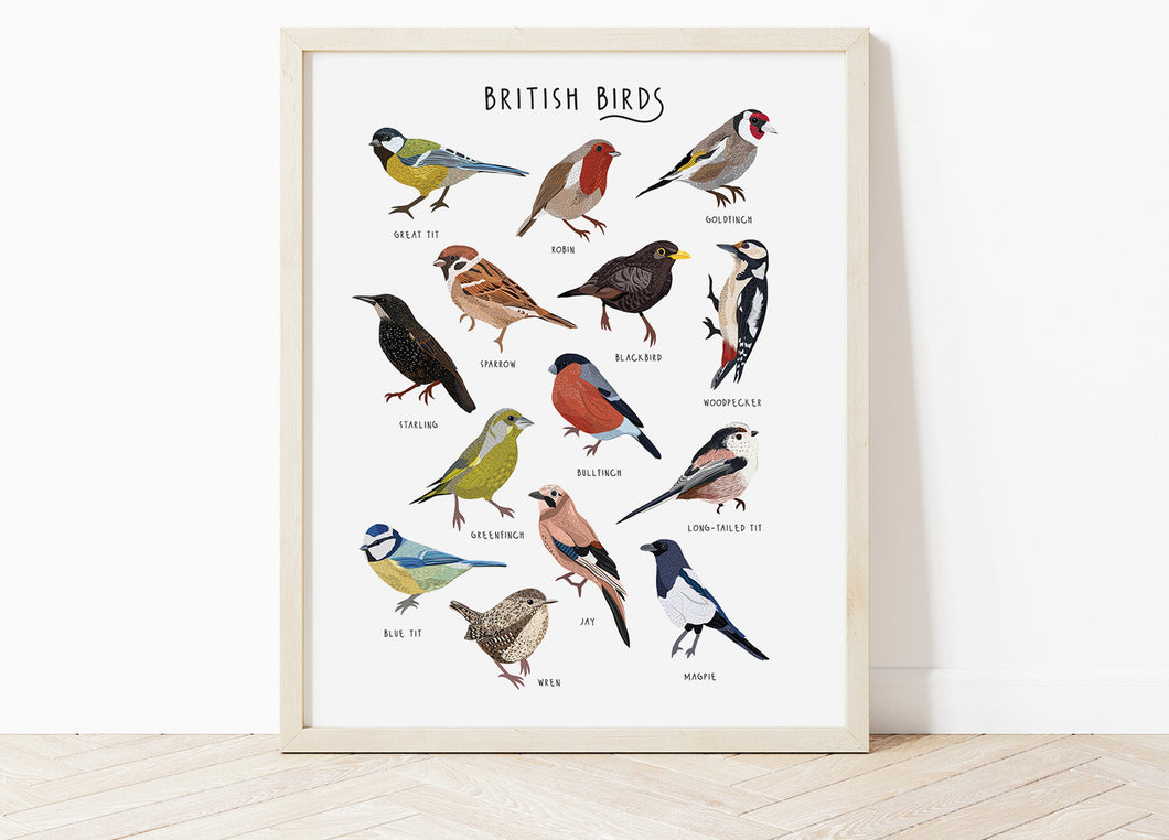 British Birds Print