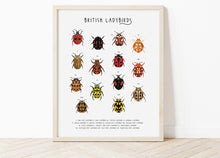 Load image into Gallery viewer, British Ladybirds Print
