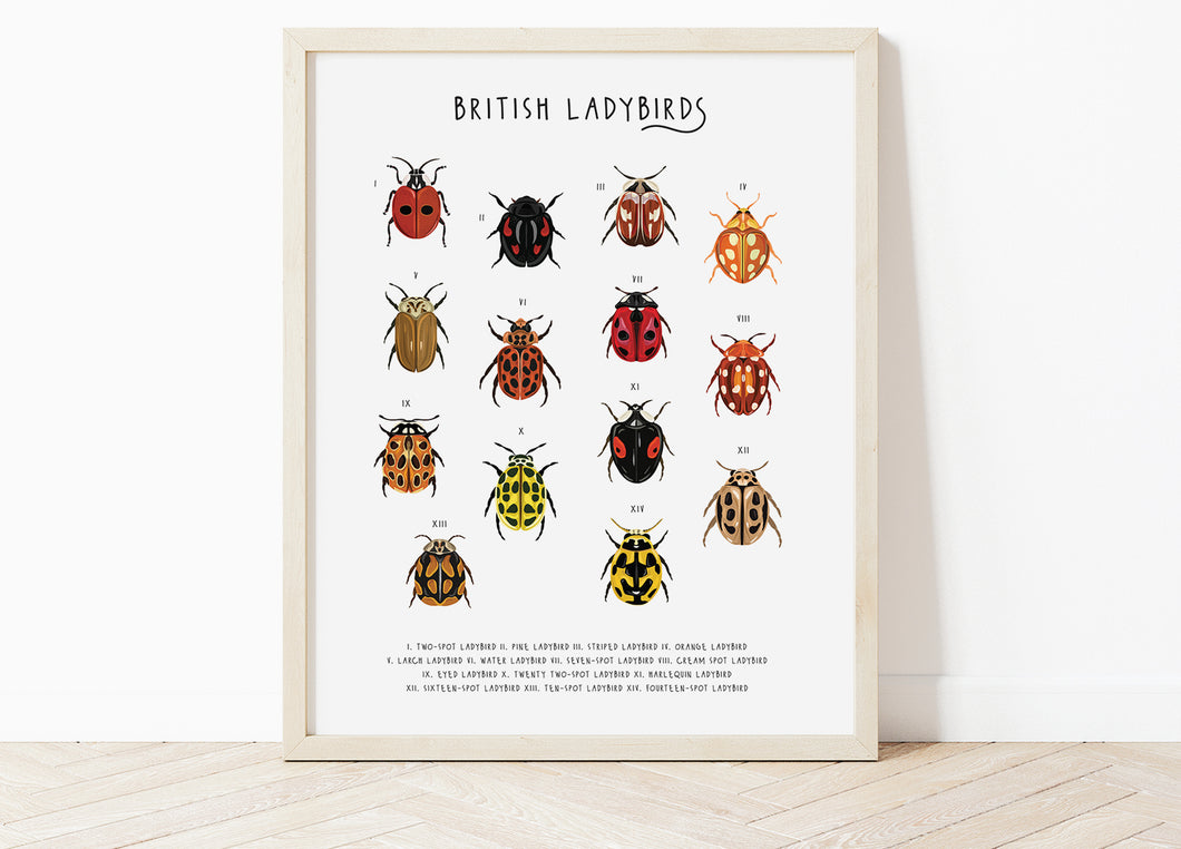British Ladybirds Print
