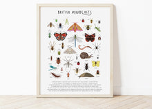 Load image into Gallery viewer, British Minibeasts Print

