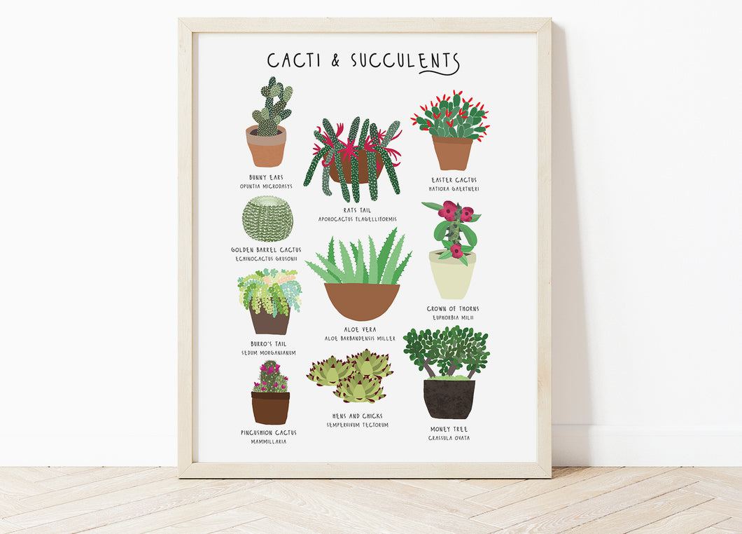Cacti and Succulents Print