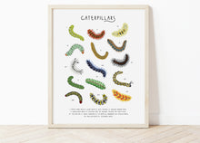 Load image into Gallery viewer, Caterpillar Print
