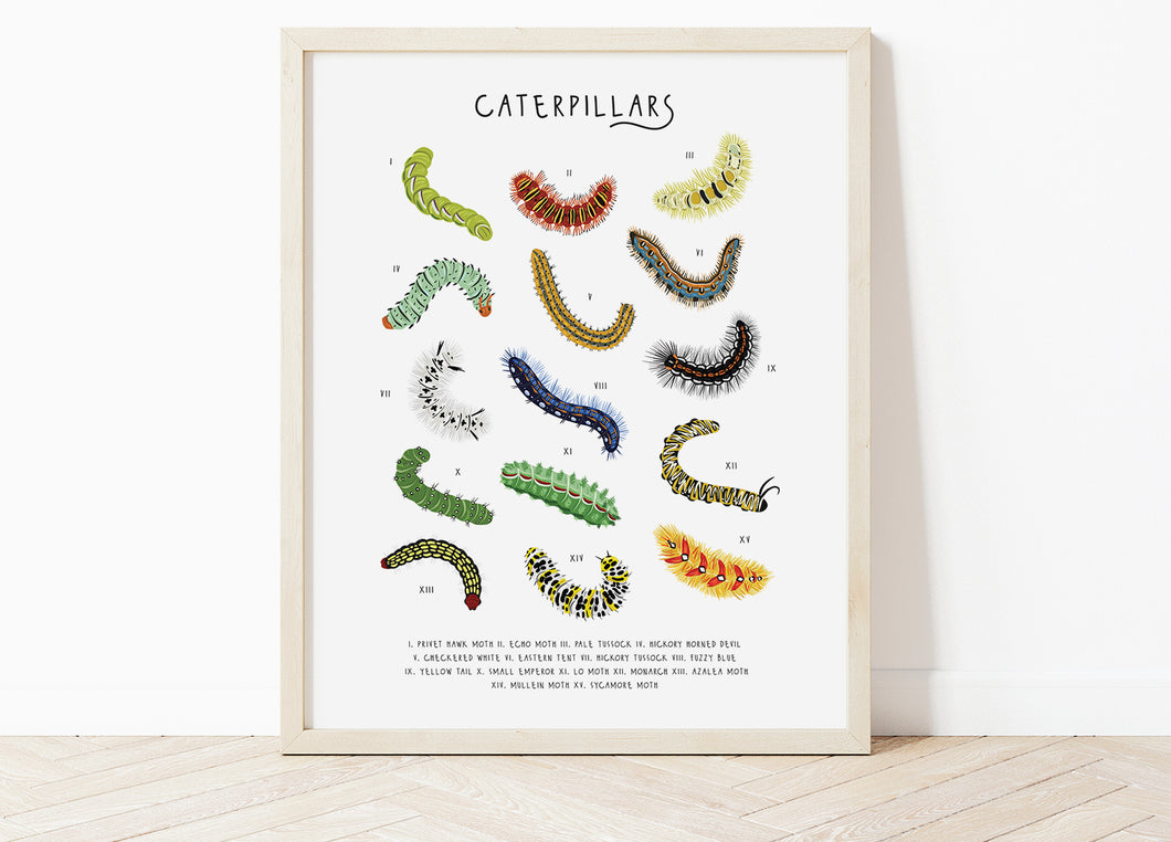 Caterpillar Print