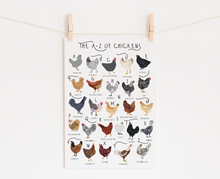 Load image into Gallery viewer, A-Z of Chickens Poster
