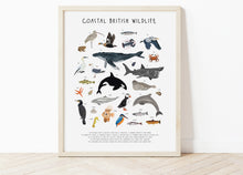 Load image into Gallery viewer, Coastal British Wildlife Print
