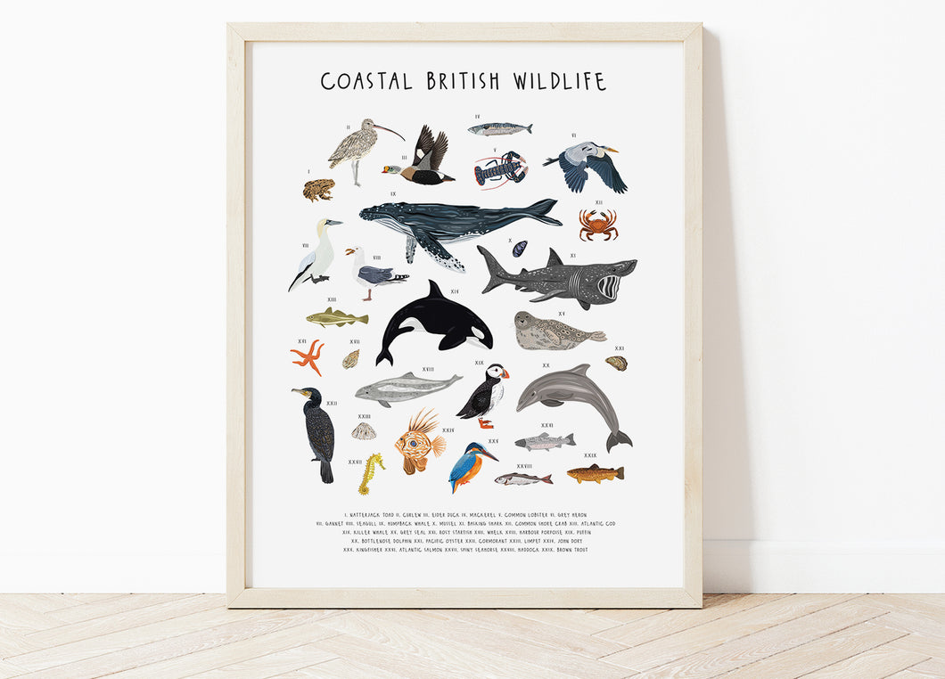 Coastal British Wildlife Print