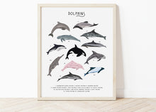 Load image into Gallery viewer, Dolphins Print
