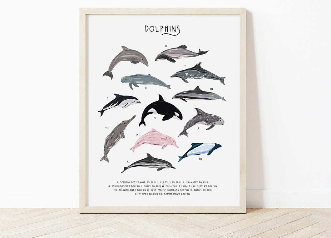 Dolphins Print