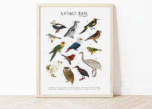Load image into Gallery viewer, Extinct Birds Print
