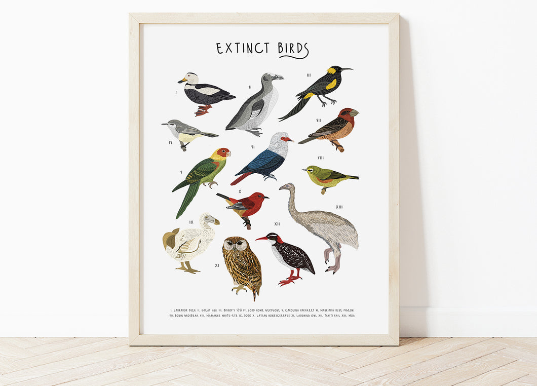 Extinct Birds Print
