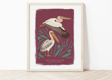 Load image into Gallery viewer, Great White Pelican Print
