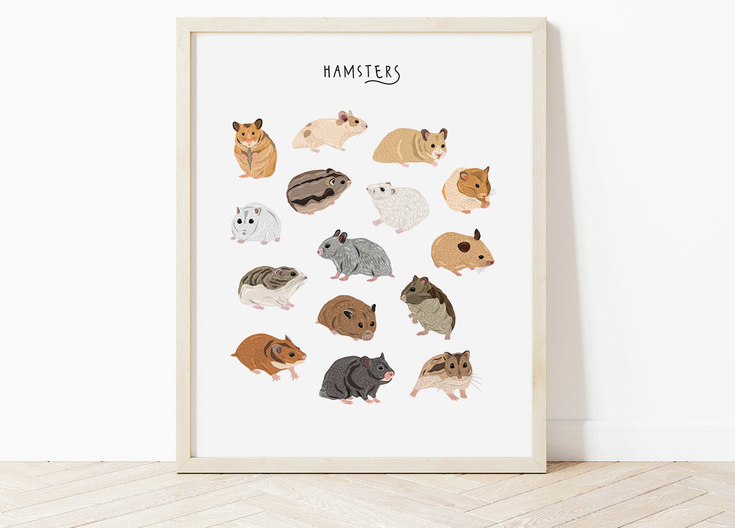 Hamsters Print