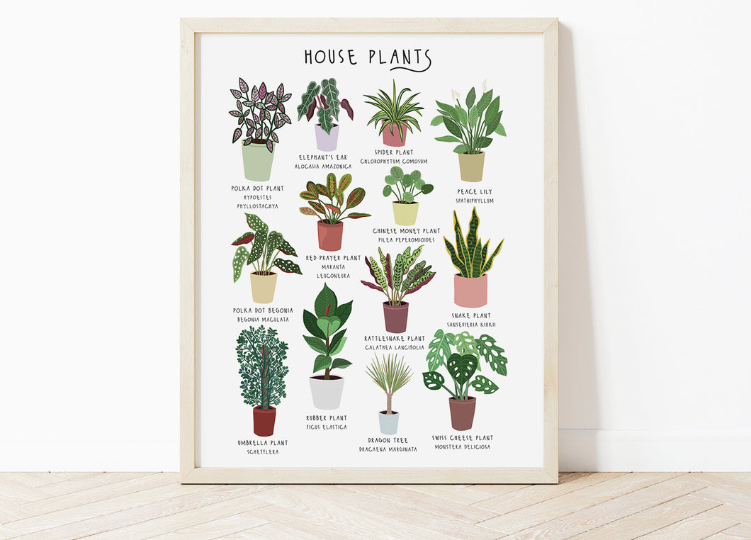 House Plants Print