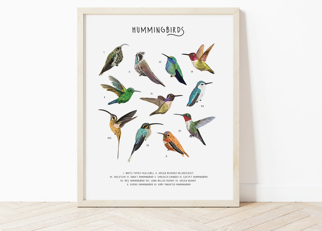 Hummingbirds Print